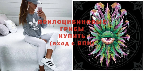МДПВ Алзамай