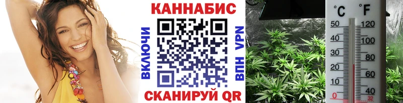 как найти наркотики  Волоколамск  Канабис семена 